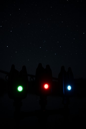 Deep night with only bite alarms and distant lights visible