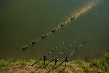 Top-down view of a feeder rod pointing along a clipped lane on a river