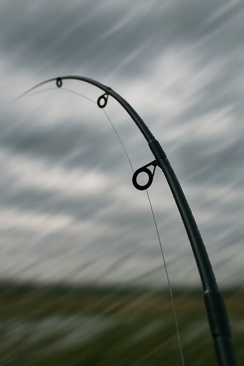 Rod tip bending slightly in a crosswind over rippled water